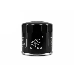 Filtro Aceite V-Strom Cbf
