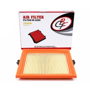 Filtro Aire Xr-125 Cbf