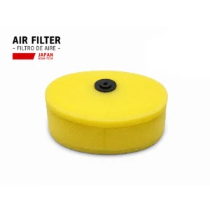 Filtro Aire Gxt-200 Cbf
