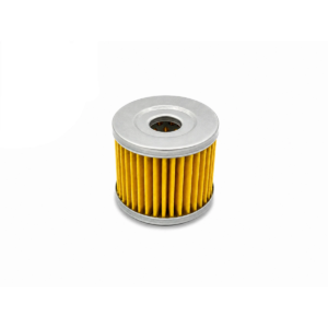 Filtro Aceite Gn-125 Cbf