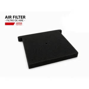Filtro Aire Motorrad Cg-150 Cbf