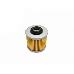 Filtro Aceite Yamaha Hf 145/2001762